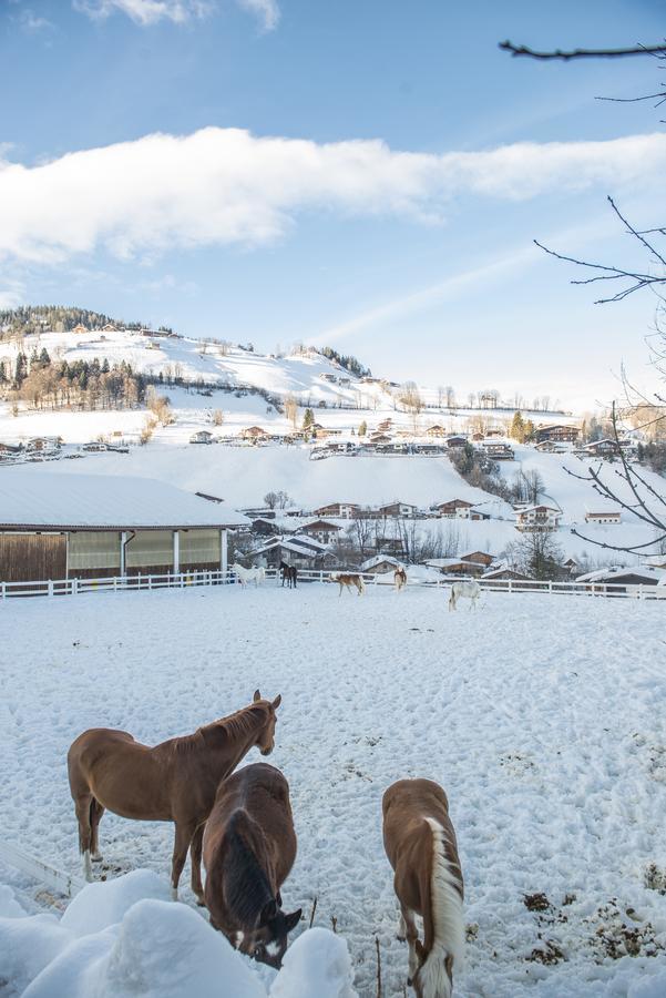 Hotel & Alpin Lodge Der Wastlhof Niederau Exteriör bild